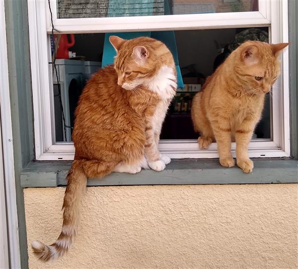 Skraggles and Horus Skraggles and Horus